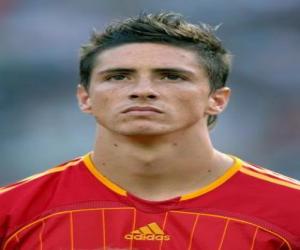 yapboz Fernando Torres